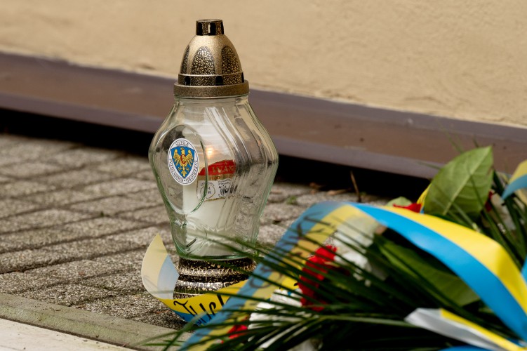 Galeria zdjęcie #16