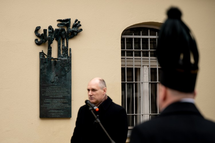 Galeria zdjęcie #12