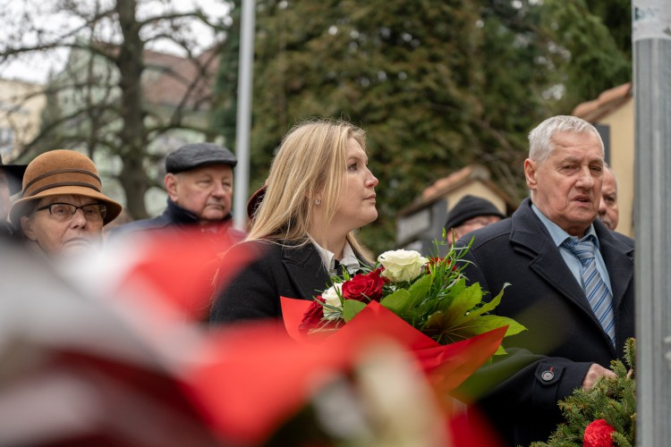 Galeria zdjęcie #21