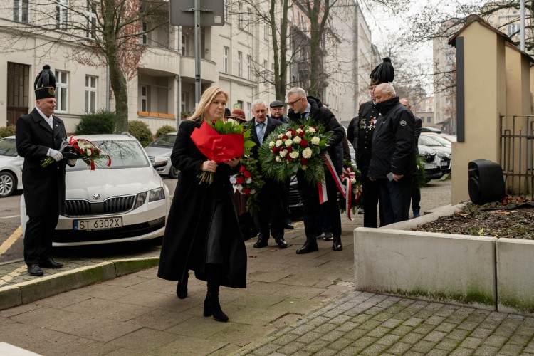 Galeria zdjęcie #23